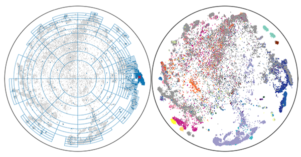 Accelerating Hyperbolic t-SNE screenshot